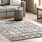 Nuloom Kaylani Transitional Medallion Area Rug 4ft x 6ft ECJN01A-406 - alternate 5